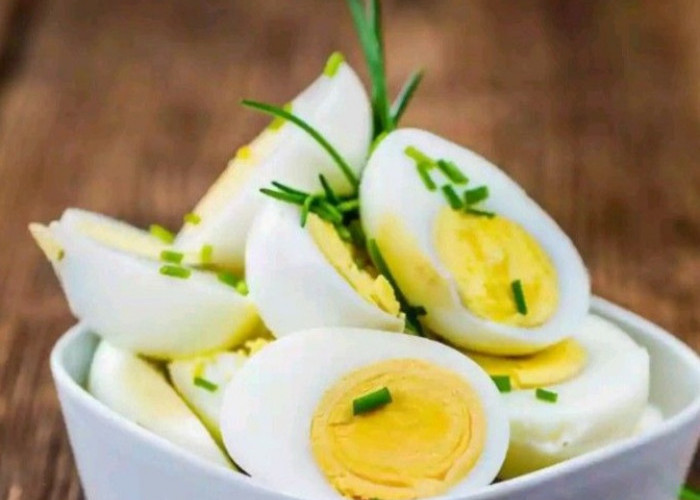 Baik untuk Tubuh! 7 Makanan yang Punya Kandungan Protein Tinggi