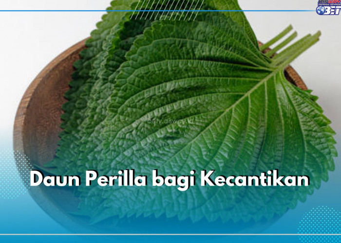 Terkenal di Korea, Inilah 6 Manfaat Daun Perilla untuk Kecantikan Kulit