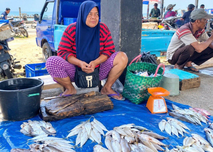 Harga Ikan Laut di Bengkulu Selatan Naik, Cuaca Buruk Tekan Hasil Tangkapan