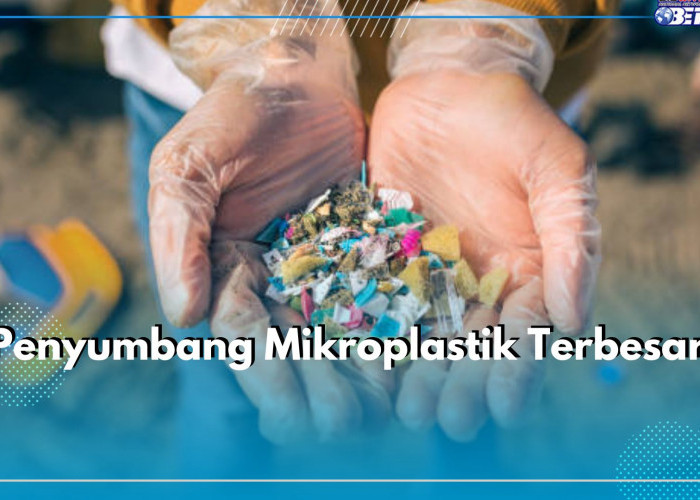 Makin Masif, Ternyata Ini 6 Sumber Penyumbang Mikroplastik Terbesar, Kosmetik Salah Satunya