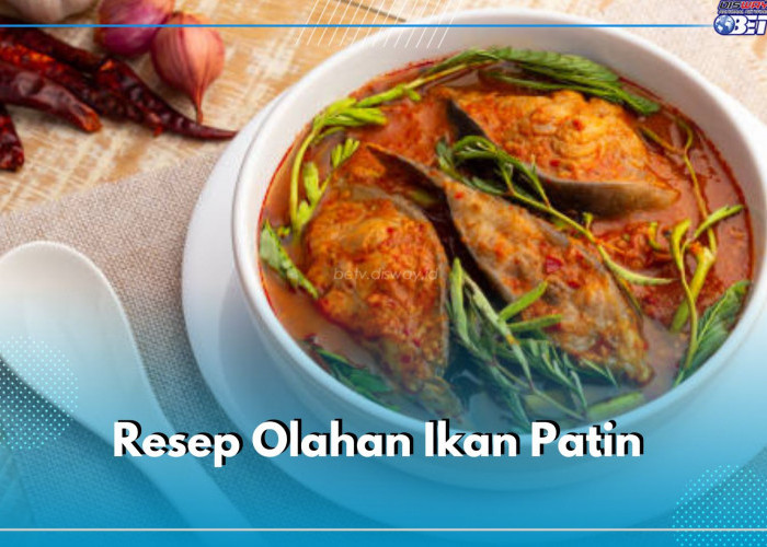 Menu Sajian Hari Ini, 4 Aneka Resep Olahan Ikan Patin, Cara Masaknya Praktis