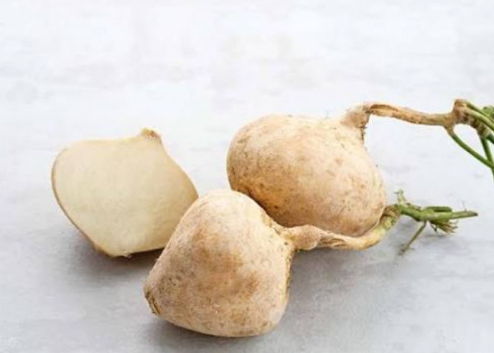 Bahan Alami Produk Kecantikan, Inilah Manfaat Istimewa Bengkoang Bagi Kulit
