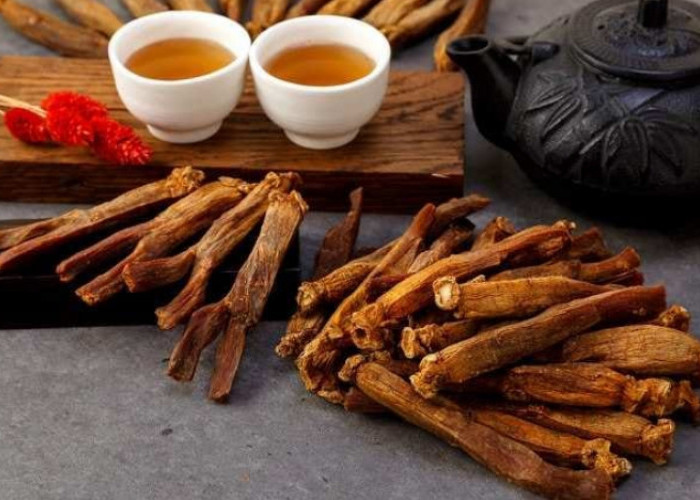 Sudah Tahu Belum? Ini 5 Kandungan Ginseng dan Manfaatnya untuk Kesehatan Rambut