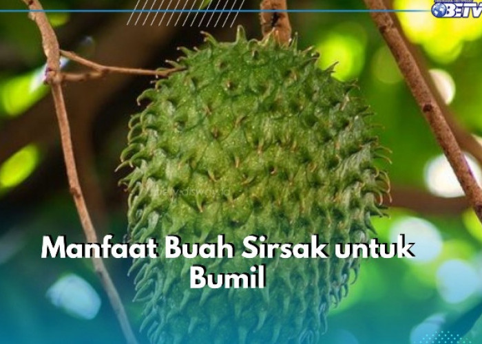 Makin Sehat, Ibu Hamil Bisa Konsumsi Buah Sirsak, Cek Manfaat di Sini! 
