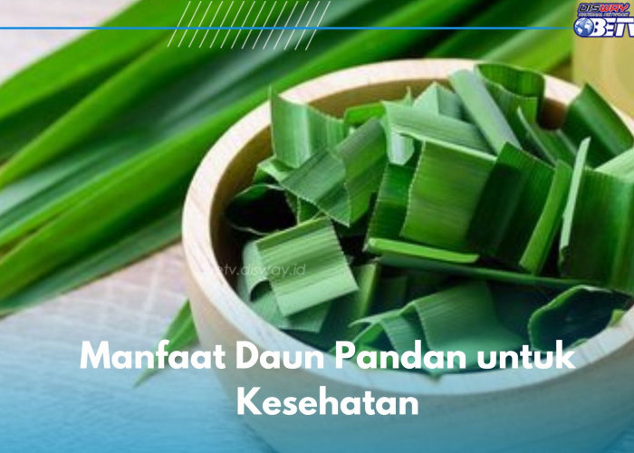 Daun Pandan Ternyata Ampuh Meningkatkan Imunitas Tubuh, Cek di Sini Manfaat Lainnya