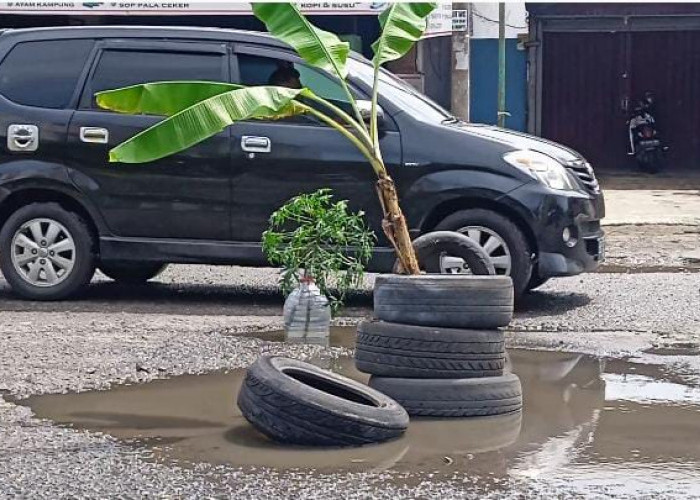 Jalan Berlubang Ditanam Pohon Pisang, Warga: Sering Terjadi Kecelakaan Mas, Kami Kesal dan Kecewa