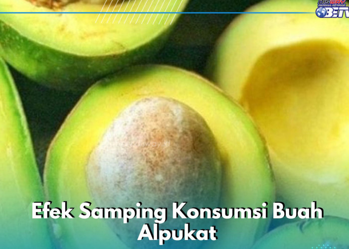 5 Efek Samping Buah Alpukat yang Perlu Diketahui, Salah Satunya Bisa Menyebabkan Migrain