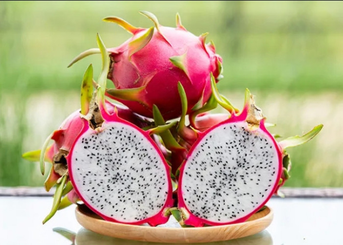 Konsumsi Buah Naga Baik untuk Jaga Kesehatan Tubuh, Cek Disini Manfaatnya!