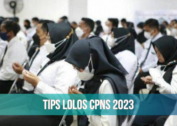 Formasi CPNS 2023 Hanya 28 Ribu, Kesempatan Lulusan SMA dan Sarjana Makin Dikit, Ini Kiat Biar Lolos Seleksi