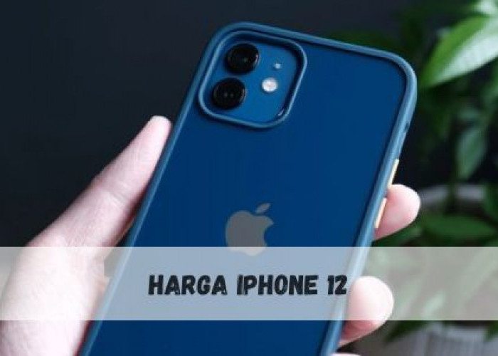 Turun Cukup Signifikan, Cek Sisa Harga iPhone 12 di iBox Terbaru Sabtu 30 Maret 2024, Diskon Berapa?