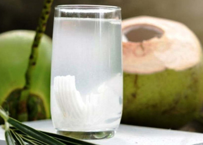 Selain Air Putih, Ini Rekomendasi Minuman Sehat yang Baik untuk Lambung, Cocok Dikonsumsi Sehari-hari