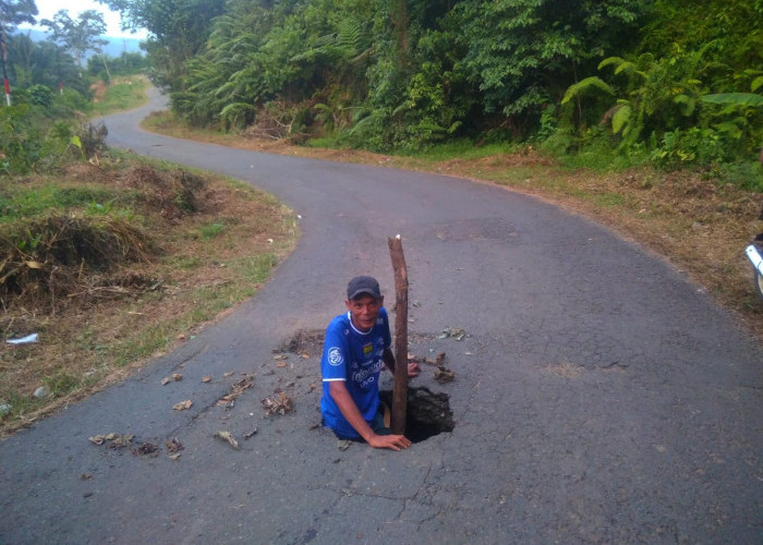 Kian Memprihatinkan dan Berbahaya, Warga Tanam Batang Pisang di Jalan Lubang Menuju Napal Jungur