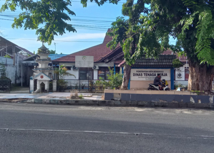 PAD Tenaga Kerja Asing di Kota Bengkulu per Januari 2025 Capai Rp 247 Juta