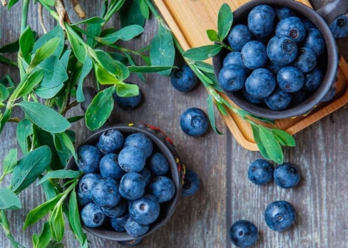 Punya Beragam Manfaat Bagi Kecantikan, Inilah 7 Manfaat Buah Blueberry Untuk Kulit Wajah Kamu