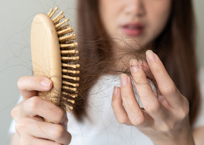Cek Disini, Rekomendasi Produk Shampo yang Bagus untuk Atasi Rambut Rontok