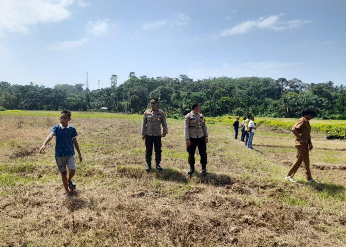 Geger Suara Auman Harimau di Desa Linau, Polisi Imbau Masyarakat Selalu Waspada Saat Berkebun