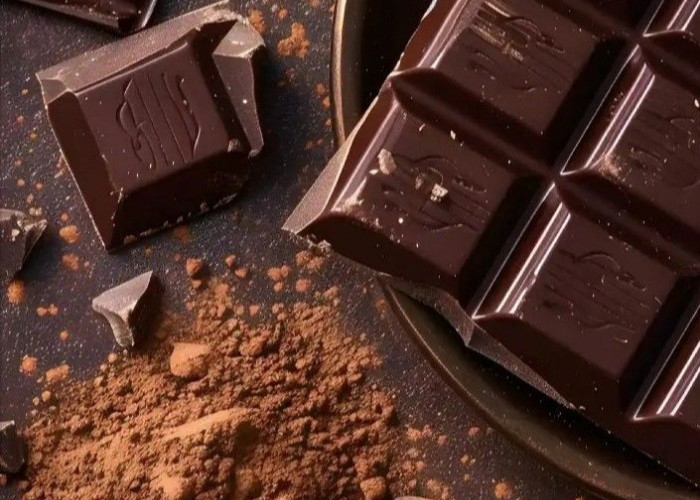 Bisa Memicu Asam Lambung, Cek di Sini! Efek Samping Cokelat bagi Kesehatan yang Perlu Diketahui 