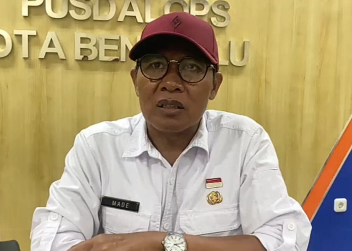 23 Titik Wilayah Kota Bengkulu Terdampak Angin Kencang, 14 Pohon Tumbang, 9 Rumah Rusak