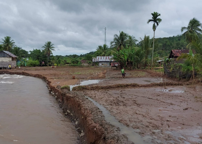 Pasca Banjir, Desa Rindu Hati Terancam Hanyut