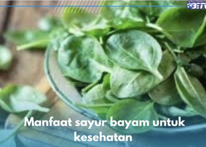 10 Manfaat Sayur Bayam untuk Kesehatan, Nomor 2 Turunkan Resiko Asma, Cek yang Lain