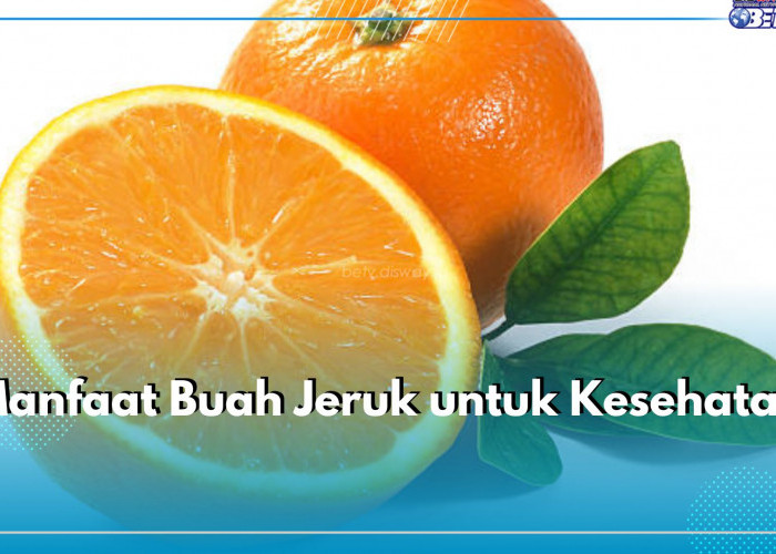 Kaya Vitamin C, Ini 5 Manfaat yang Ditawarkan Buah Jeruk untuk Kesehatan Tubuh