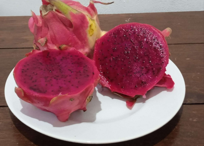 Kilas Balik Fakta Unik yang Tersembunyi dalam Buah Naga, Bisa Tunda Rasa Lapar Loh!