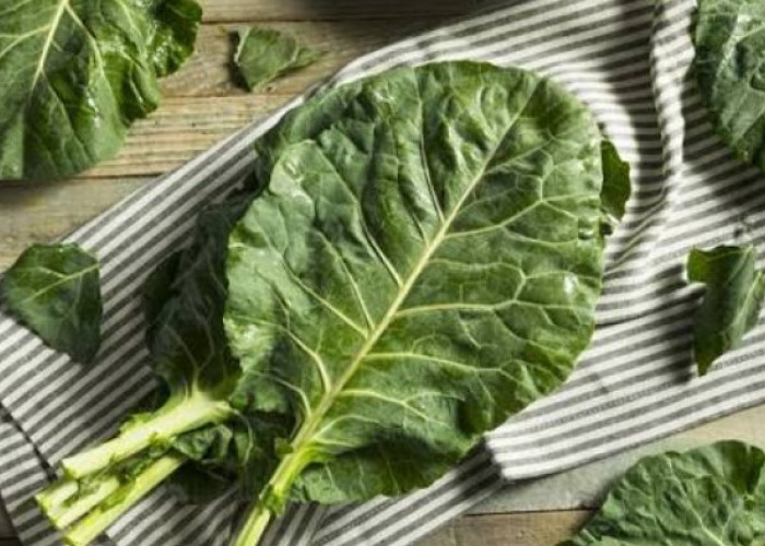 Tak Selalu Sehat, Inilah Efek Samping Konsumsi Sayur Kale Berlebihan