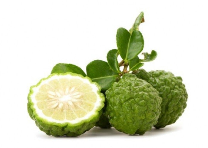 Tinggi Kandungan Vitamin C, Ini Manfaat Tak Terduga Jeruk Purut Bagi Kesehatan Tubuh