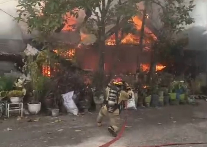 Kebakaran Hebat di Cempaka Permai: Rumah dan Mobil Pensiunan ASN Ludes, Pemilik Alami Luka Bakar