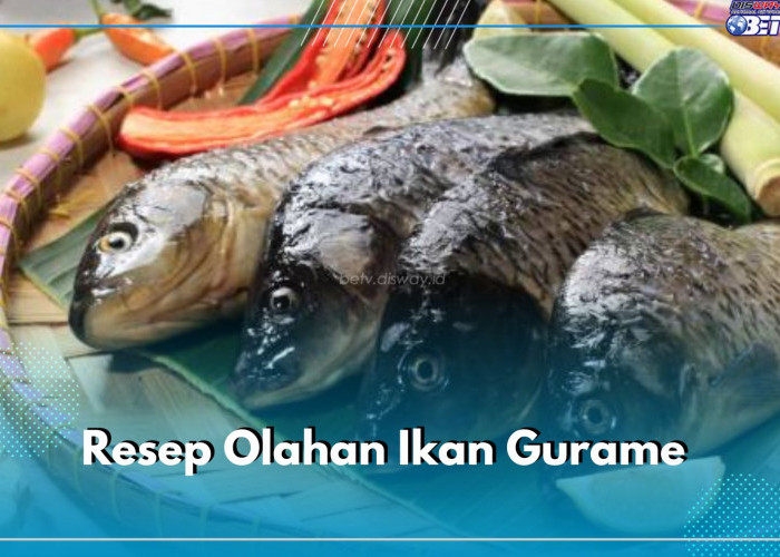 3 Resep Olahan Ikan Gurame untuk Lauk Makan Bersama Keluarga, Begini Cara Bikinnya 