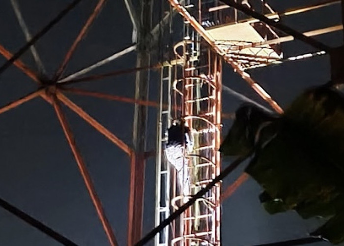 Viral! Aksi Nekat Wanita Panjat Tower di Kelurahan Pensiunan Kepahiang Jadi Tontonan Warga