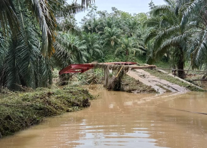 Jembatan Gantung Desa Taba Kelintang Putus 