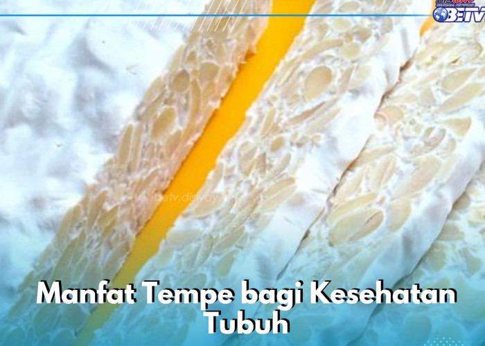 Makanan Tempe Ini Ampuh Menjaga Kesehatan Pencernaan, Cek Manfaat yang Tersimpan Didalamnya