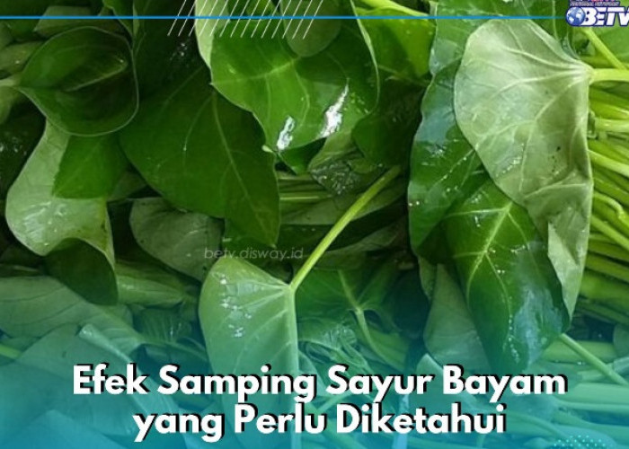 Sayur Bayam Bisa Dikonsumsi Sehari-hari, Ini Dampak Buruk yang Jarang Diketahui