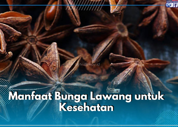 Tak Hanya Jadi Penyedap Masakan, Ini 6 Manfaat Bunga Lawang untuk Kesehatan, Bisa Atasi Masalah Pencernaan