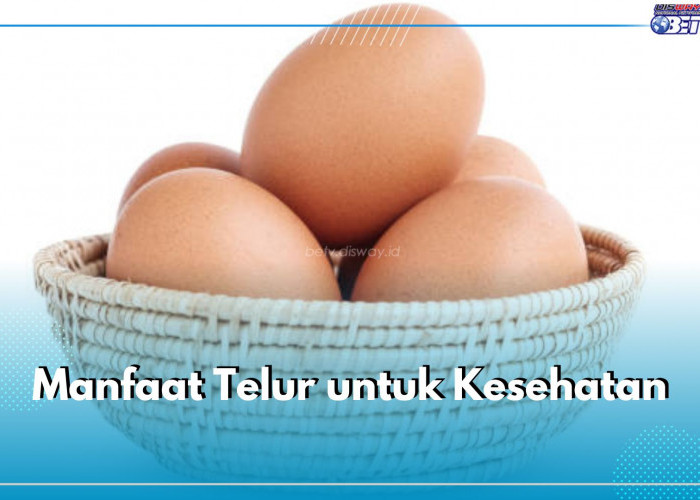 Kerap Jadi Menu Sarapan, Ini 5 Manfaat yang Ditawarkan Telur untuk Kesehatan