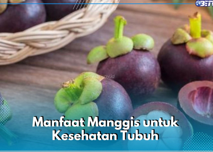 Buah Manggis Kaya Nutrisi, Ini 8 Manfaat yang Akan Kamu Rasakan