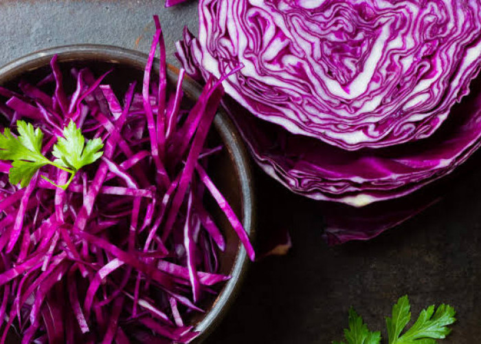 Olah Kubis Merah Menjadi Makanan Sehat, Cobain 4 Resep Ini, Enak dan Bikin Nagih!