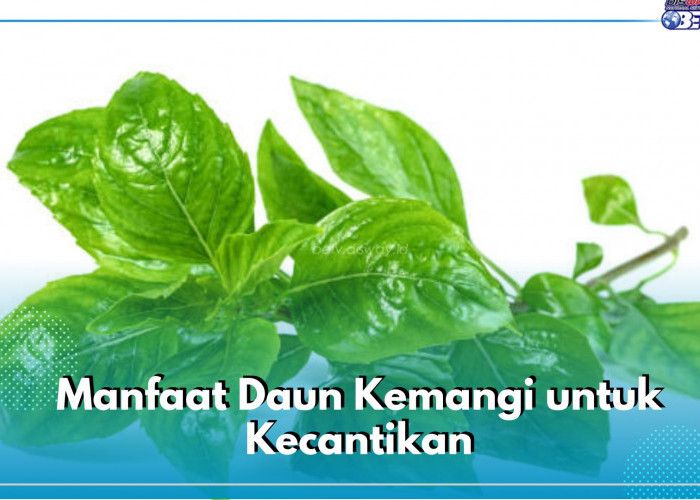 Bukan Sembarang Lalapan, Daun Kemangi Tawarkan 6 Manfaat Ini untuk Kecantikan