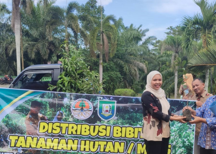 Bagikan Bibit Tanaman Gratis, DLHK Provinsi Bengkulu Harap Bisa Bermanfaat Ekologis dan Ekonomis