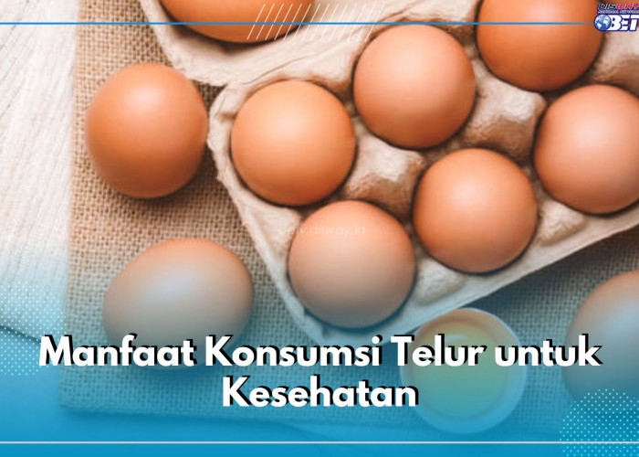 5 Manfaat Konsumsi Telur Untuk Kesehatan, Dapat Bantu Dukung Fungsi Otak dan Jaga Berat Badan