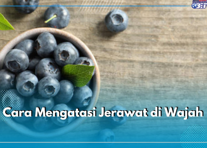 Kulit Mulus Tanpa Noda, Begini Cara Mengatasi Jerawat di Wajah dengan Buah Blueberry, Cek Aturannya!