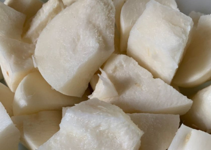 Dapat Memenuhi Kebutuhan Cairan, Ini Manfaat Bengkoang bagi Kesehatan Tubuh, Buah Renyah yang Kaya Serat