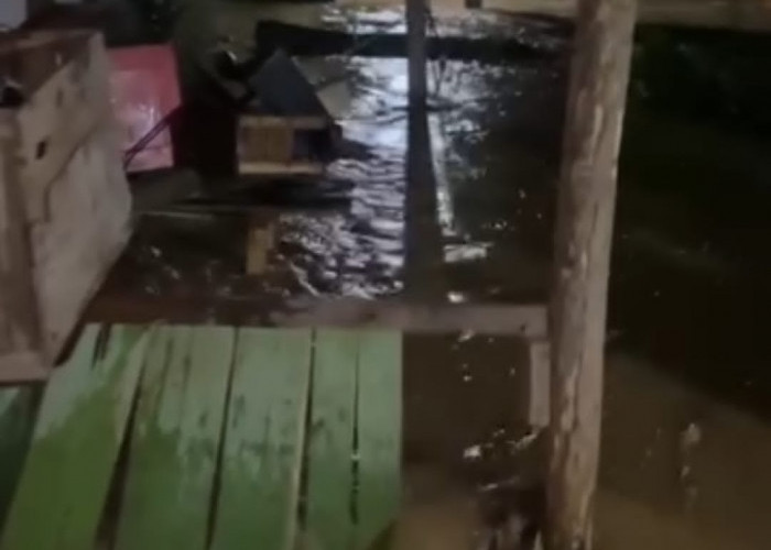 Hujan Deras, Rumah Warga Terendam Banjir di Desa Mekar Mulya Mukomuko