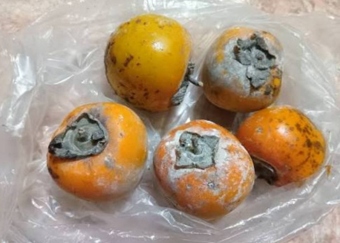Jarang Diketahui! Ini Ragam Fakta Unik dari Buah Kesemek
