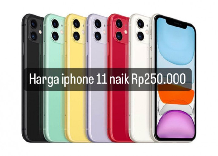  Harga iPhone 11 Naik Rp250.000 Hari Ini Minggu 21 April 2024, Cek Rinciannya di Sini