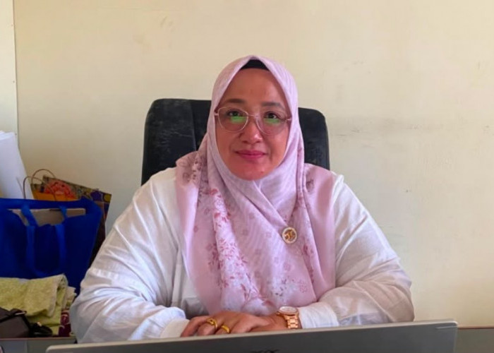 Musim Kemarau Mengancam, Petani Bengkulu Selatan Beralih Tanam Jagung dan Hortikultura