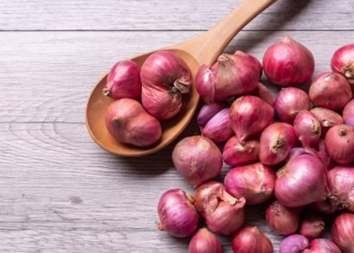 Ragam Fakta Unik Bawang Merah yang Jarang Diketahui, Salah Satunya Menjadi Simbol Kehidupan Mesir Kuno
