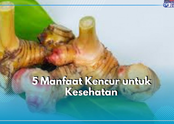 Klaim 5 Manfaat Kencur untuk Kesehatan Tubuh, Salah Satunya Ampuh Cegah Sel Kanker