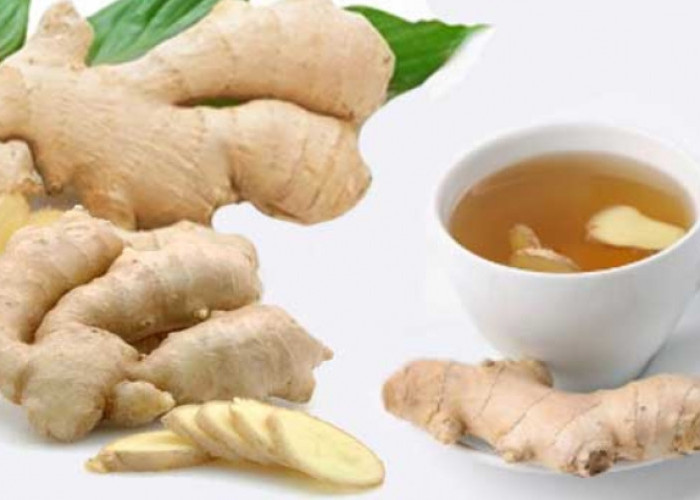 Sudah Tahu Belum? Konsumsi Jahe Emprit Berlebihan Memicu Tubuh Terserang 4 Efek Samping, Cek Disini!